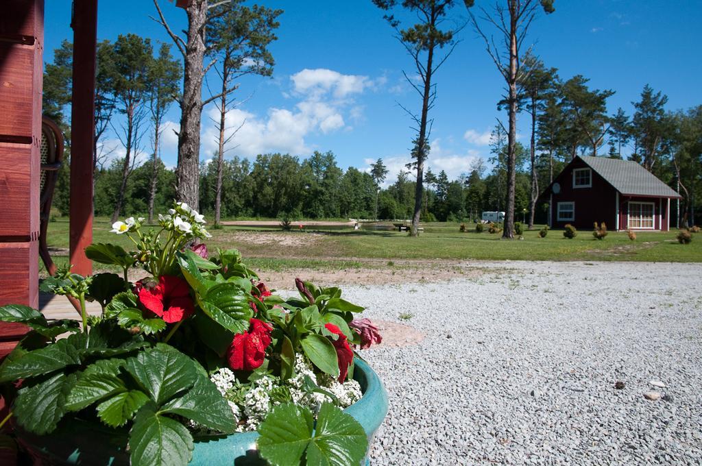 Tehumardi Camping Salme Eksteriør bilde